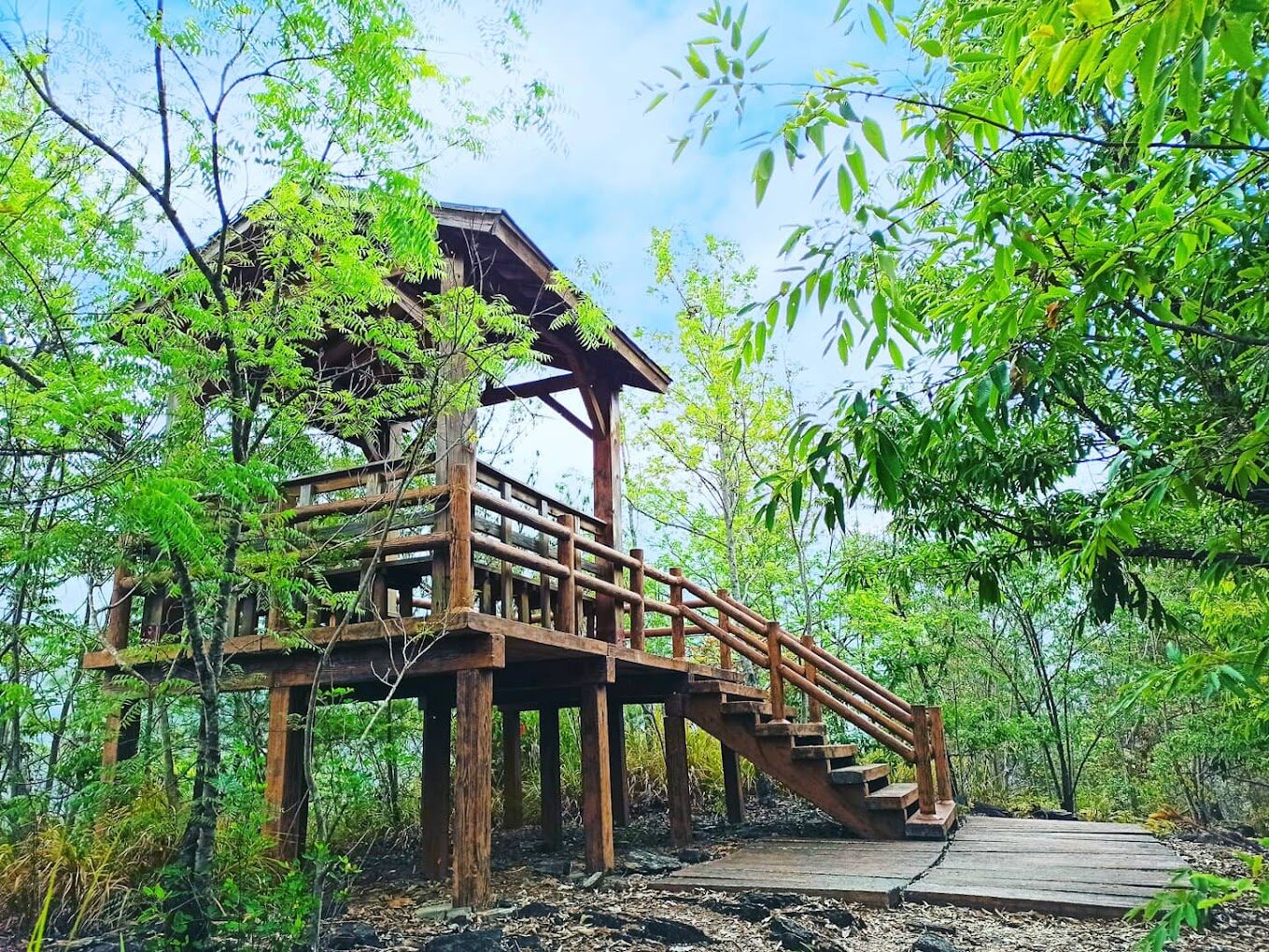 【2025】惠蓀林場必買特產大揭密｜本地美味帶回家