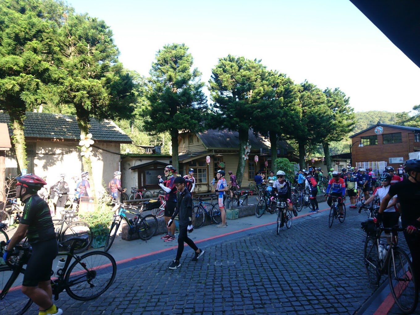 舊山線鐵道自行車｜2025 體驗起點：絕不可錯過的旅遊亮點