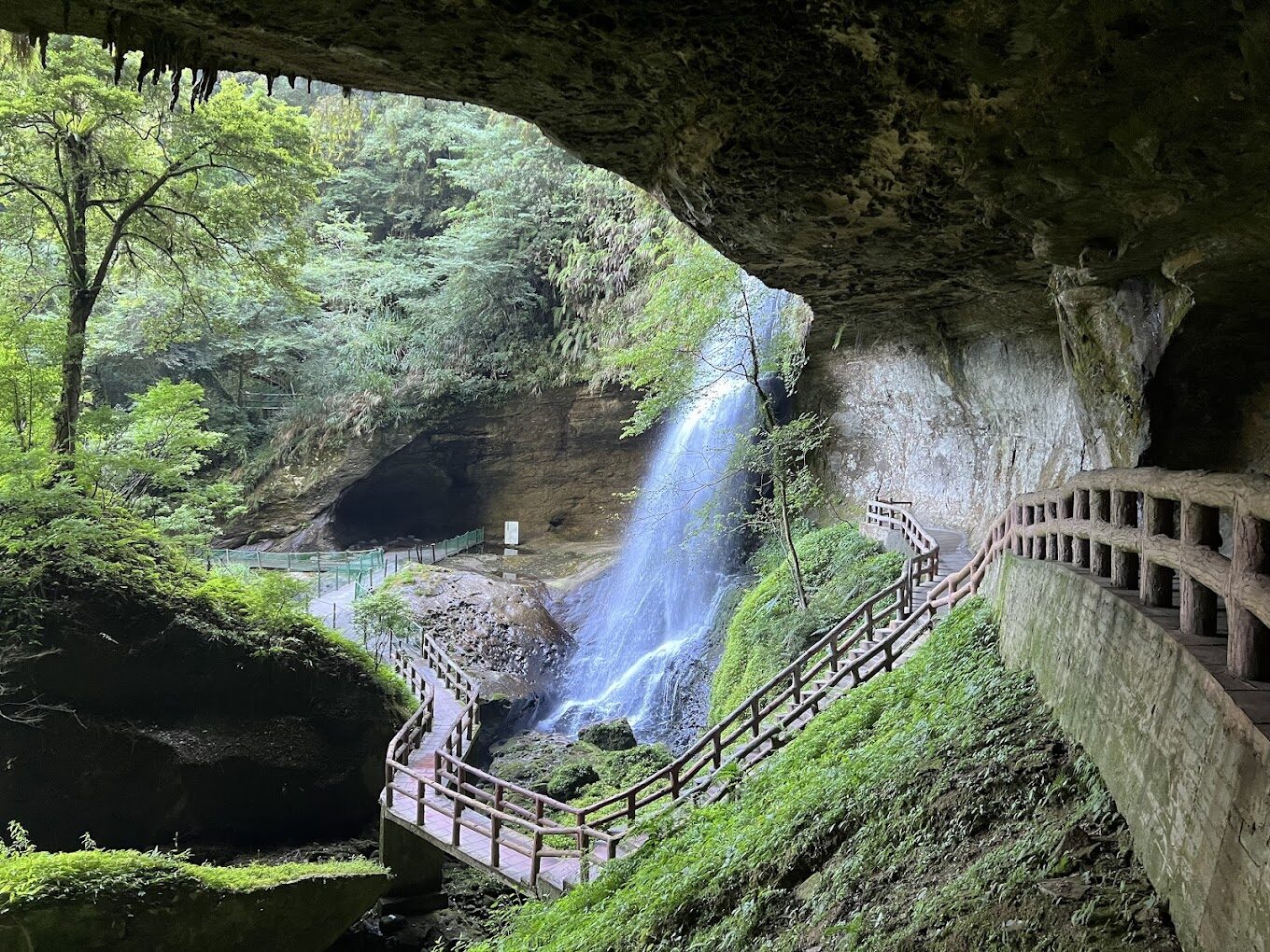 杉林溪森林生態渡假園區