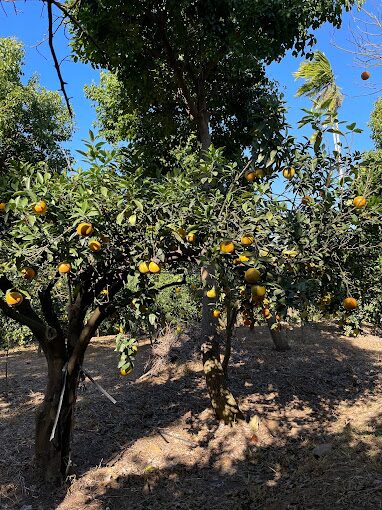 你不知道的梨山賓館探索秘境｜避開遊客的私房去處