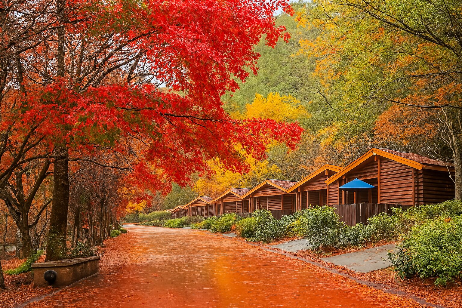 武陵農場住宿必知陷阱｜避免踩雷的貼士