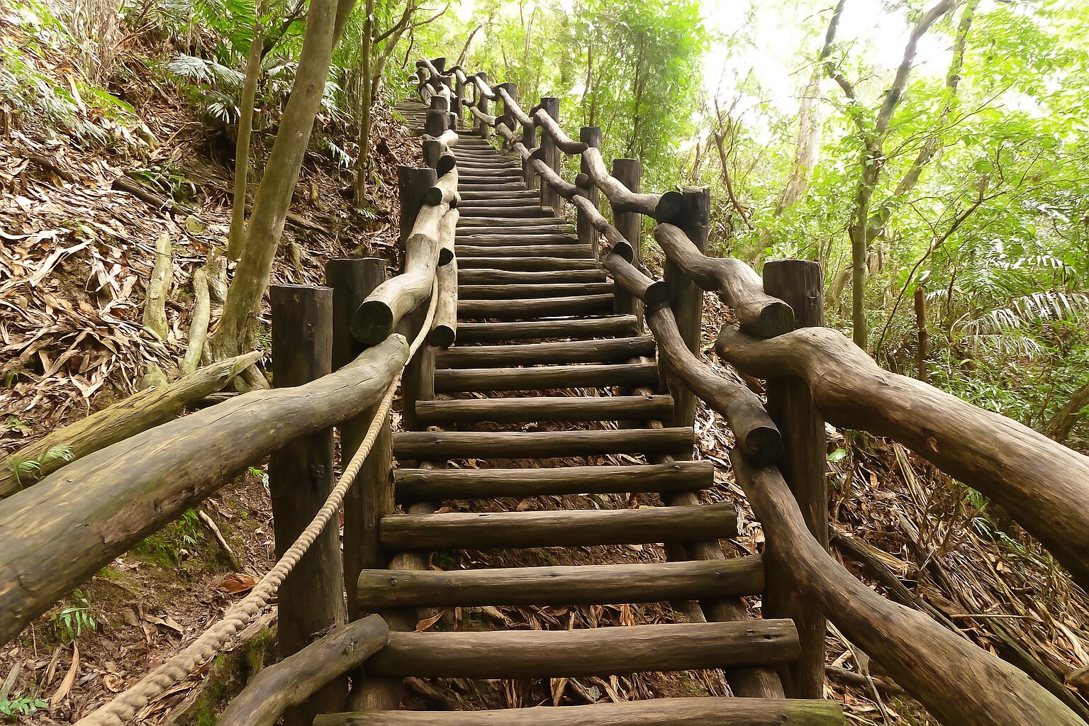 大坑步道絕美秘境揭曉｜必看景點與注意事項