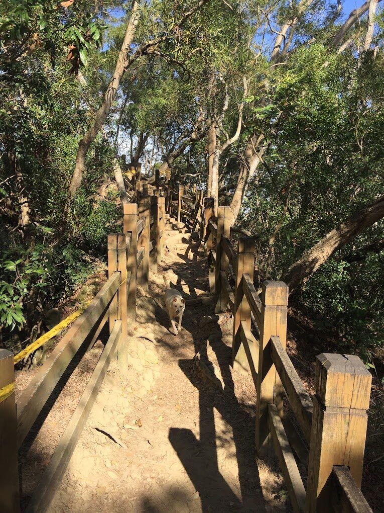 大坑步道旅遊指南｜不可錯過的秘境景點