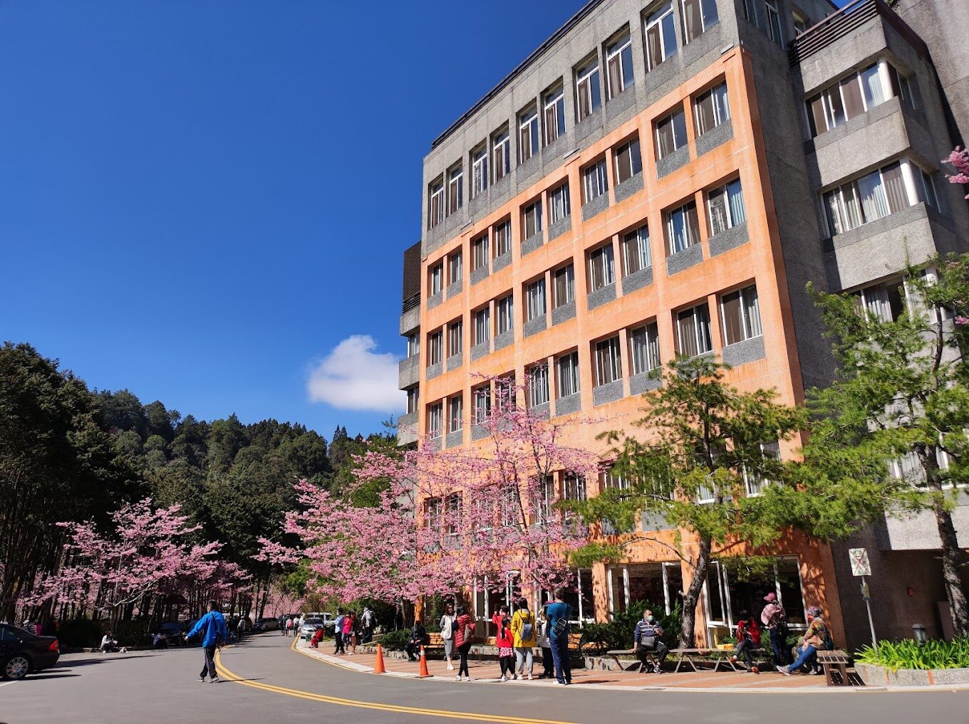 杉林溪大飯店住宿體驗|避開這常見問題,享受完美假期