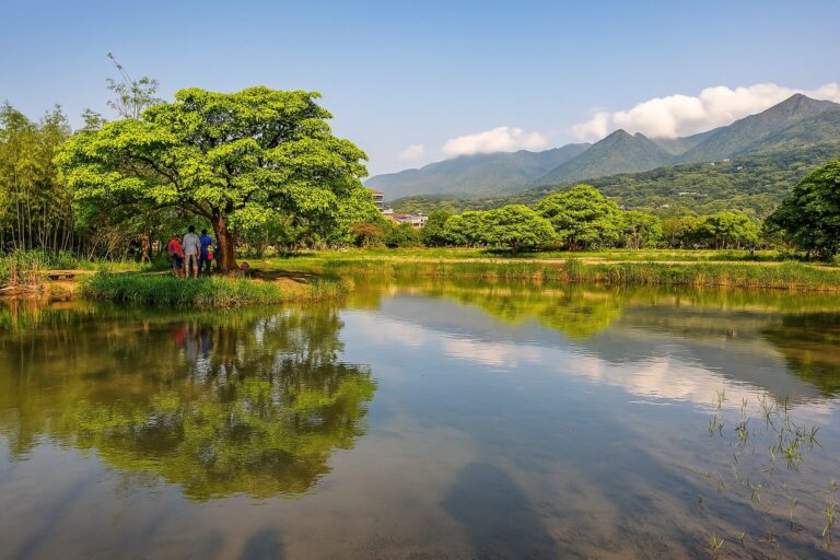 三芝景點必遊指南：探索你絕對不能錯過的秘境