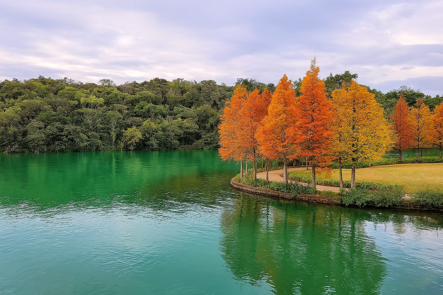 集集景點|2025年不可錯過的隱藏魅力