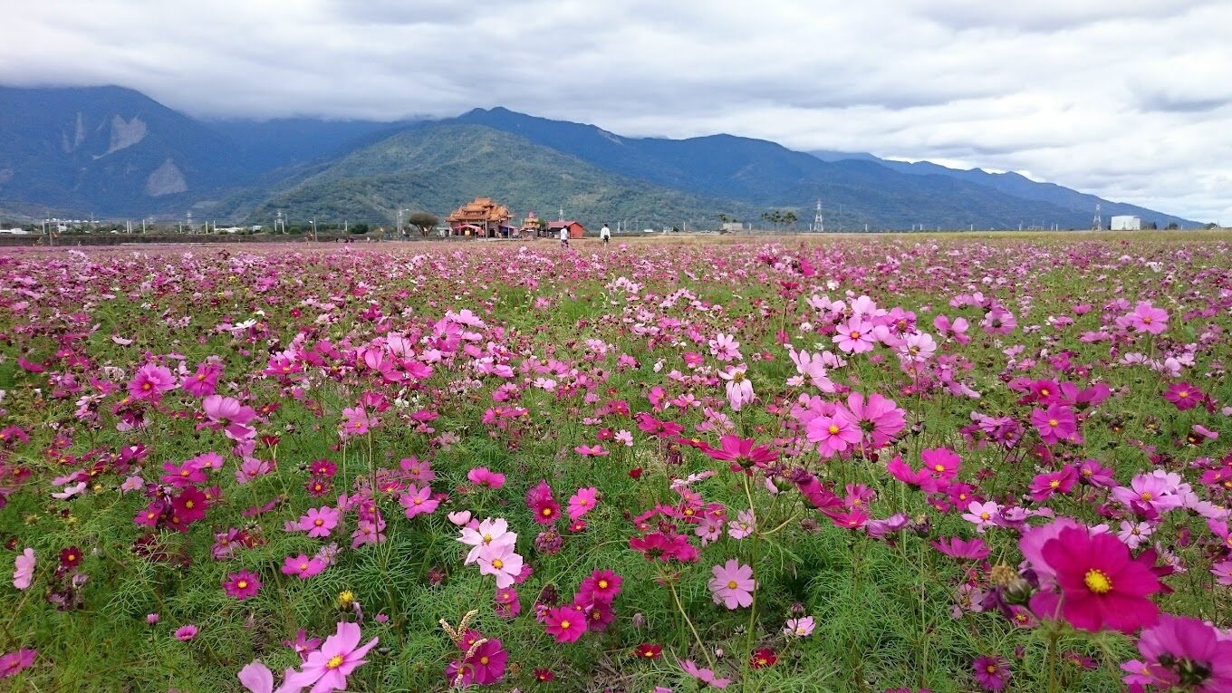 2025台東景點懶人包｜必訪秘境，你可能錯過的寶藏之地