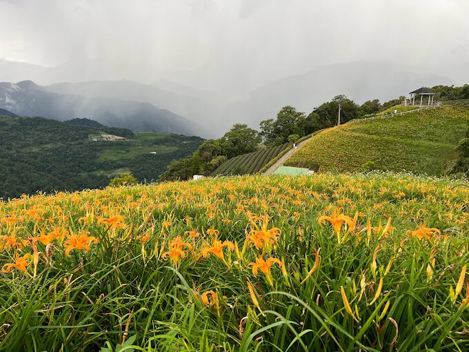 2025台東景點懶人包｜必訪秘境，你可能錯過的寶藏之地