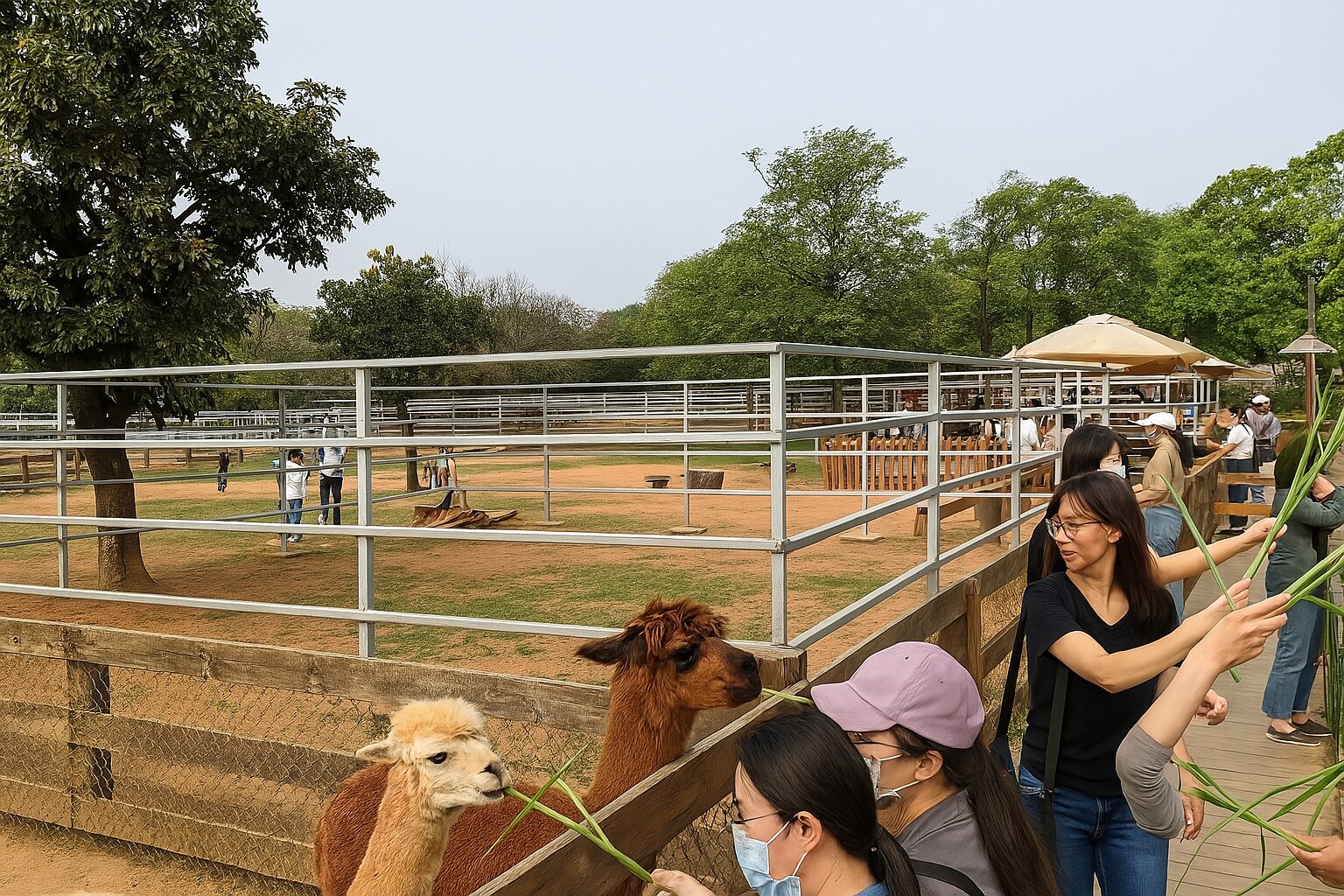 【2025】埔心牧場必玩特色景點｜家庭旅遊首選