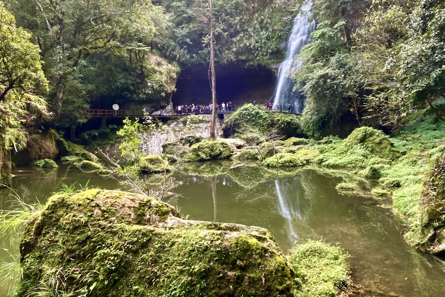 杉林溪森林生態渡假園區