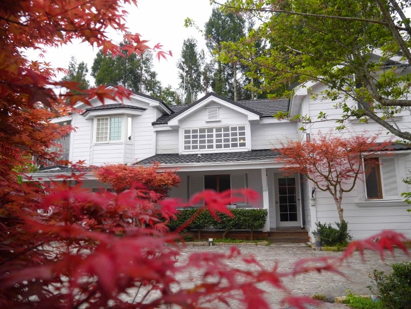 【2025】拉拉山住宿推薦｜避開踩雷的最佳選擇