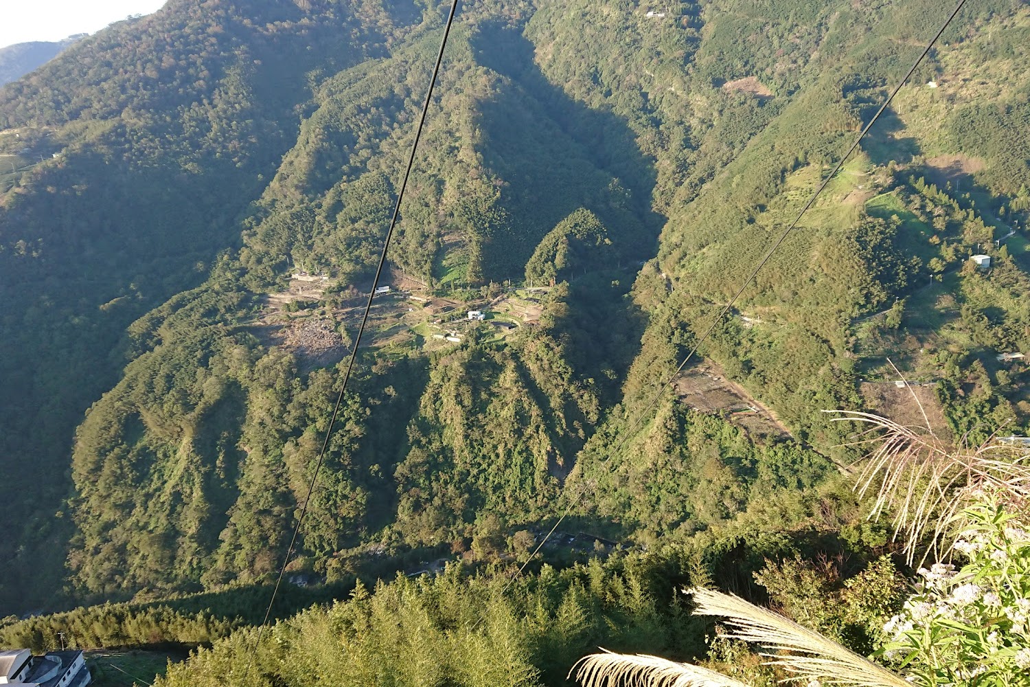 拉拉山國家森林遊樂區