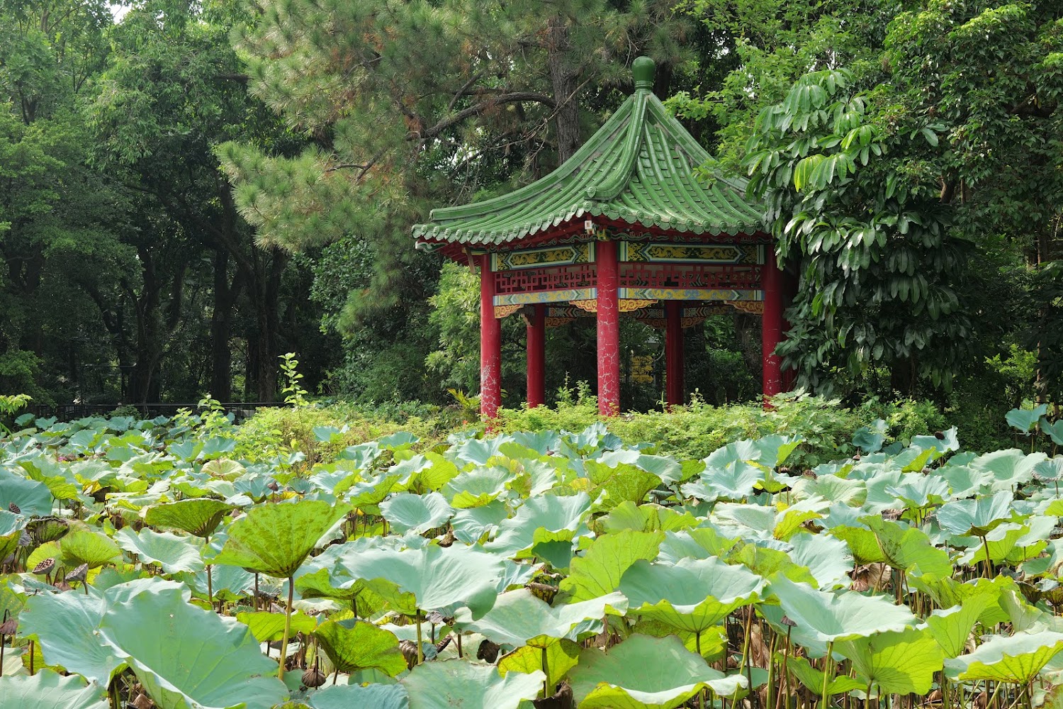 台北景點懶人包｜2025年不可錯過的必訪地