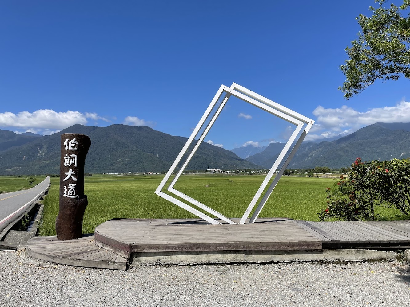 棕色大道