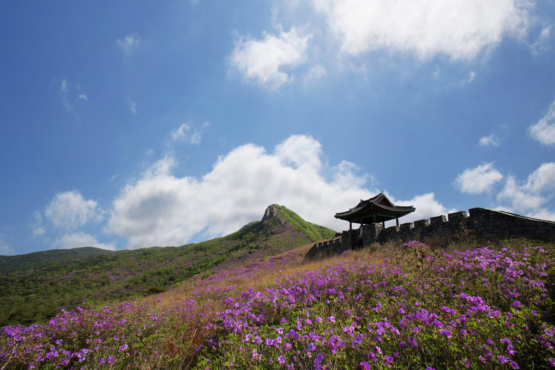 台東長濱 山脈