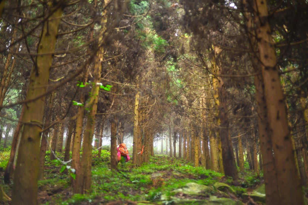 1024_777d00de44012c88a6bbf1f73a44e319