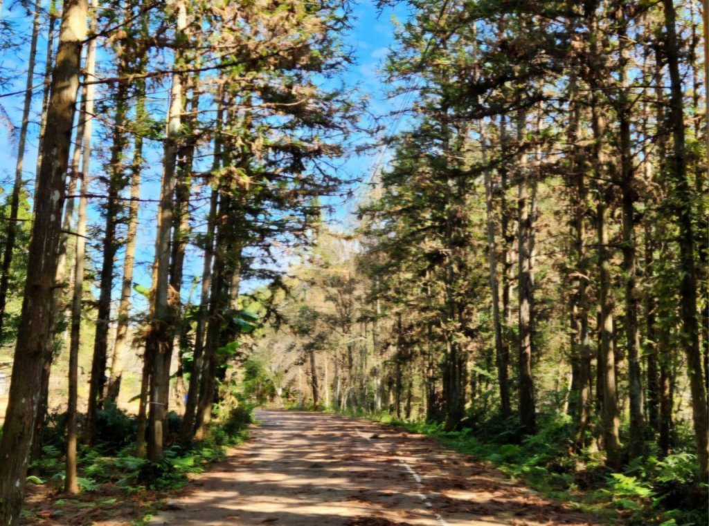 1024_9cc31630fdf7f0e2ff896d17ca7d0b45