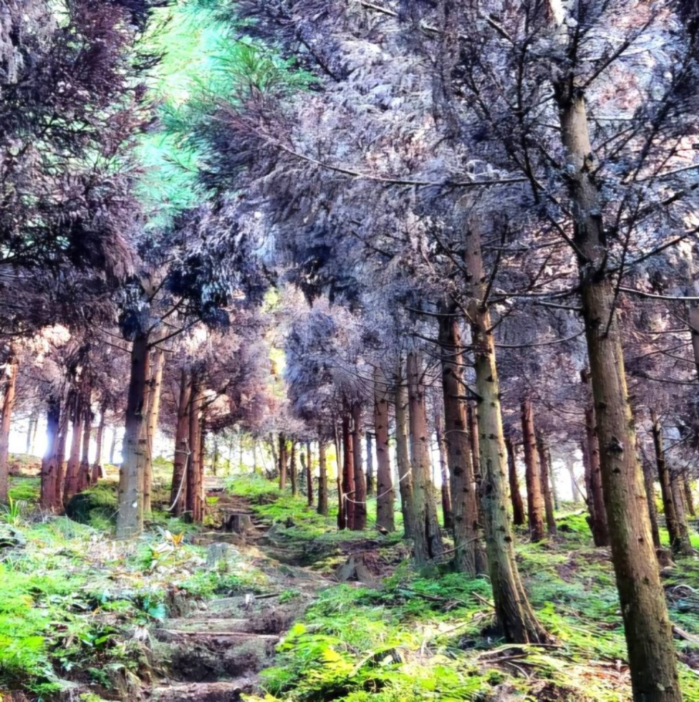 1024_bcb89b8863cd16ca69fd2ca57e1a0cad