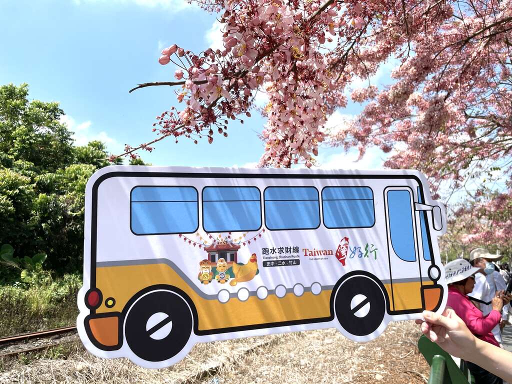 遊客在花旗木鐵道旁漫步賞花