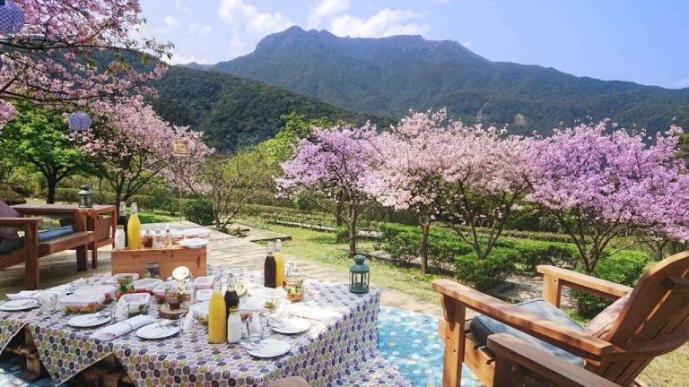 陽明山天籟渡假酒店：享受身心靈的完美假期
