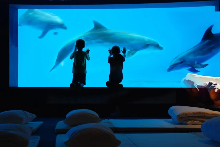 花蓮遠雄海洋公園全攻略｜看海獅表演、搭雲霄飛車，親子旅遊首選！