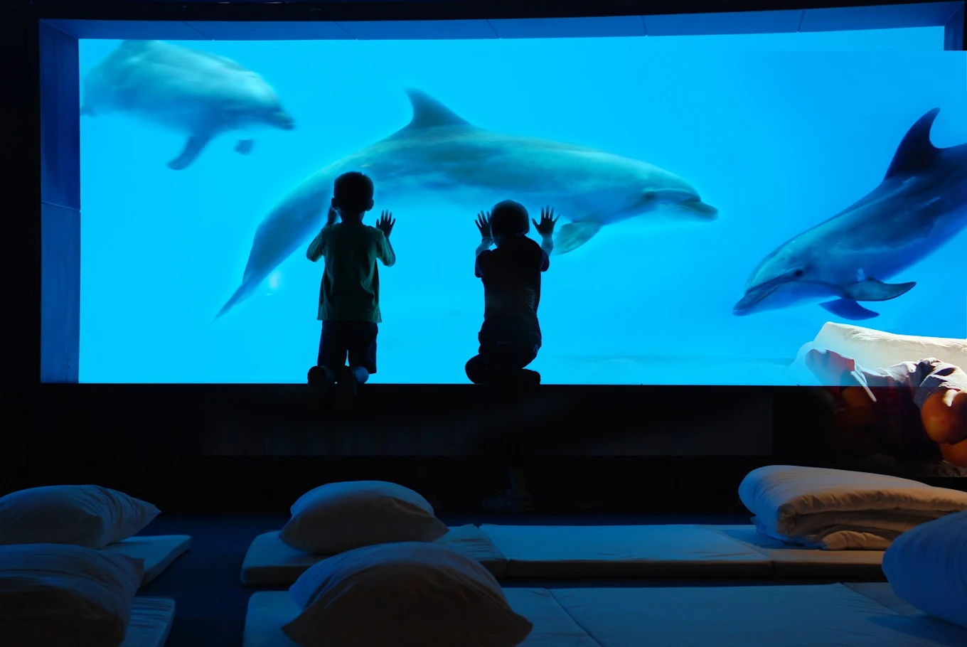 花蓮遠雄海洋公園全攻略｜看海獅表演、搭雲霄飛車，親子旅遊首選！