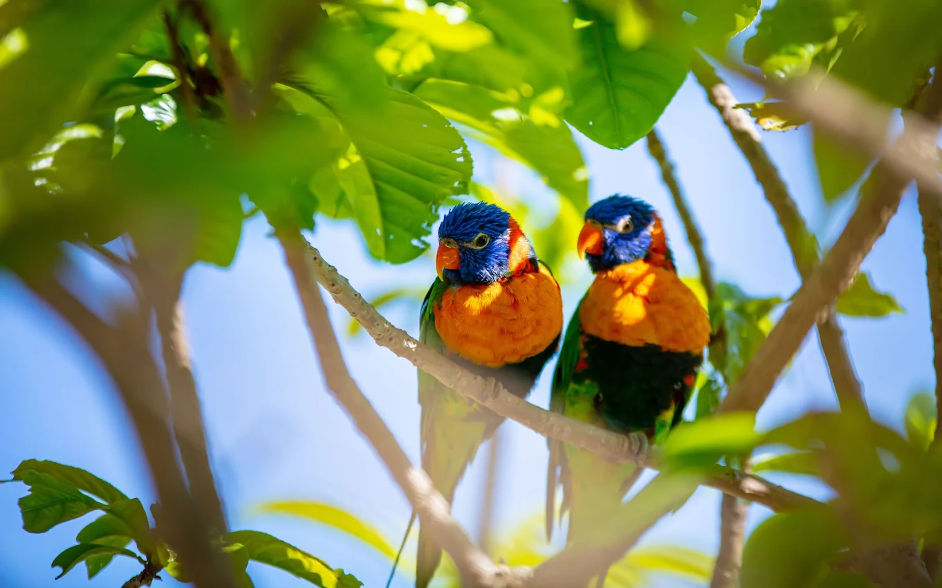 探索台灣五大動物園｜親子旅遊景點推薦、園區特色與遊玩建議一次看！