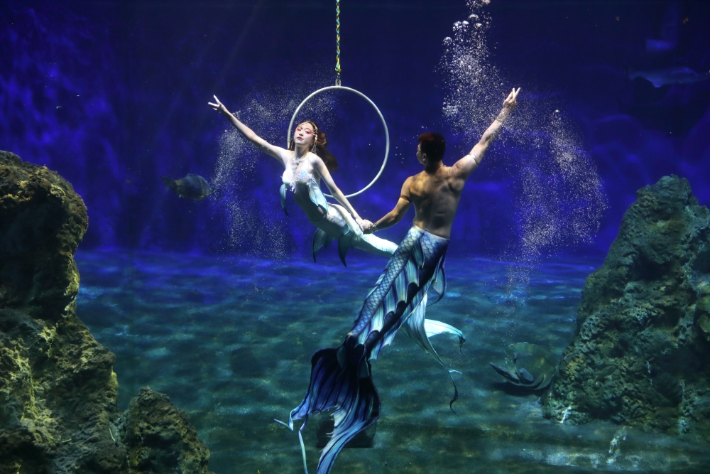 遠雄海洋公園：家庭必訪的海洋主題樂園