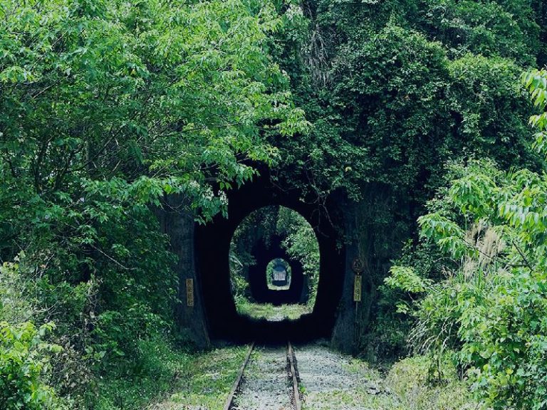 舊山線鐵道自行車的最佳體驗｜全方位攻略