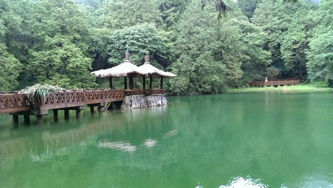 阿里山旅遊全攻略:五大絕美景點,感受山林日出與文化之