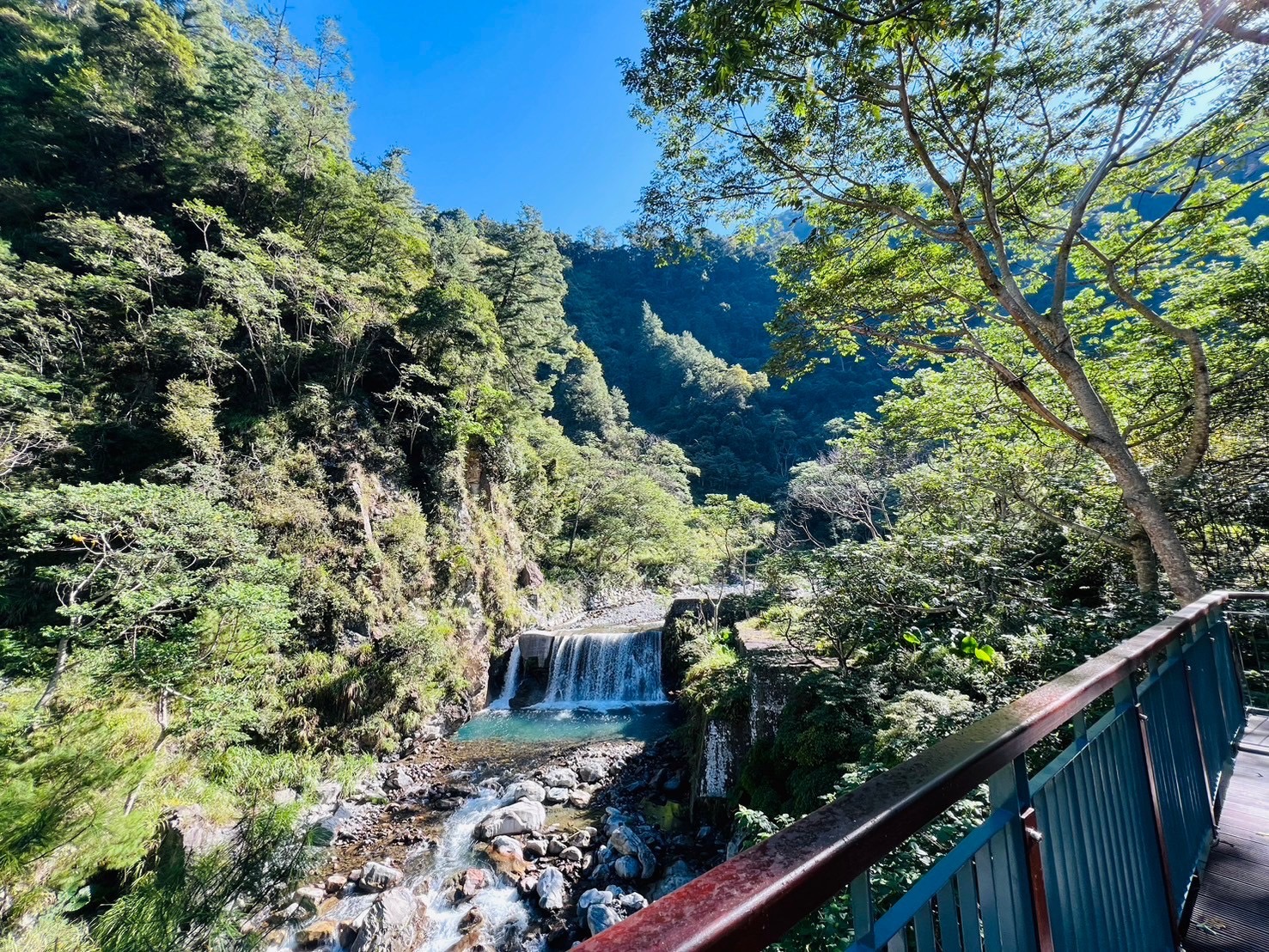 八仙山國家森林遊樂區的完美旅行指南：探索最美自然景觀