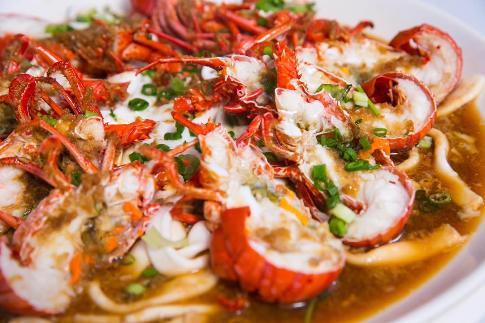 高家繡球花田：2025年必去的繡球花盛會