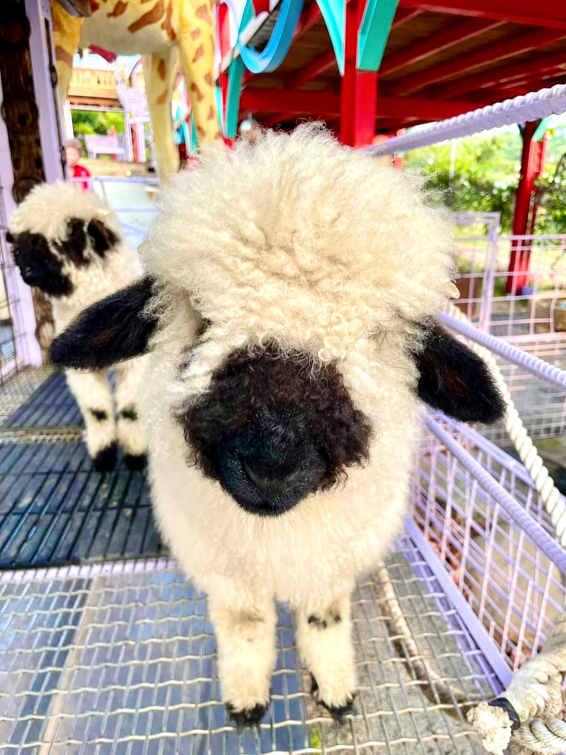 487080082_1148531477283948_5943967549622300098_n