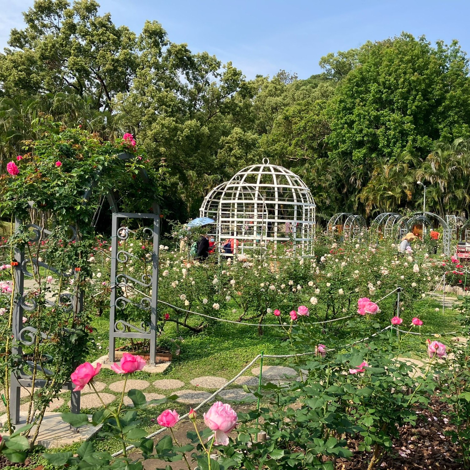 489946401_1010387157959651_8158555046484323982_n