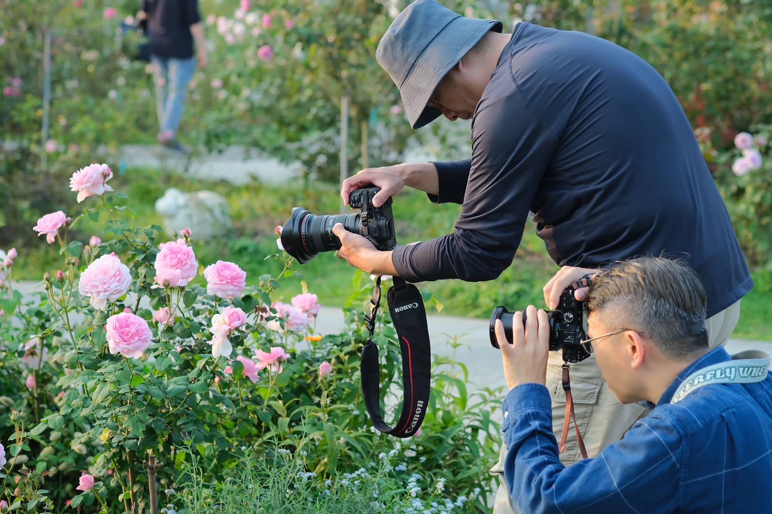 491339095_1146215534186130_4604969239287618045_n