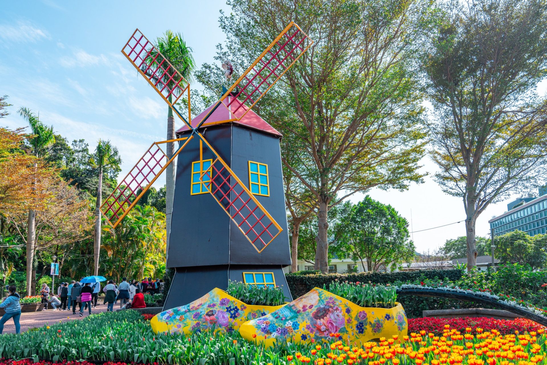 495086352_1032051479126552_574748578824088674_n