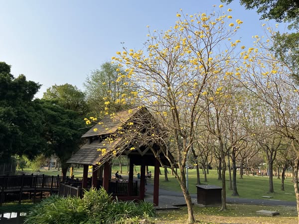 495823866_1038982485100118_5508332084955845209_n