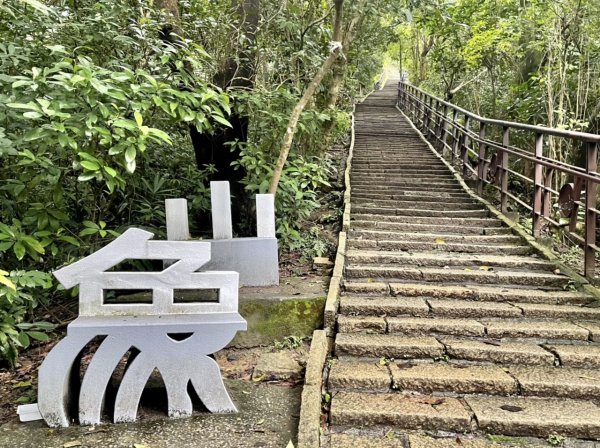 從山林間遠眺101：象山步道上的隱藏風景與靜謐時光