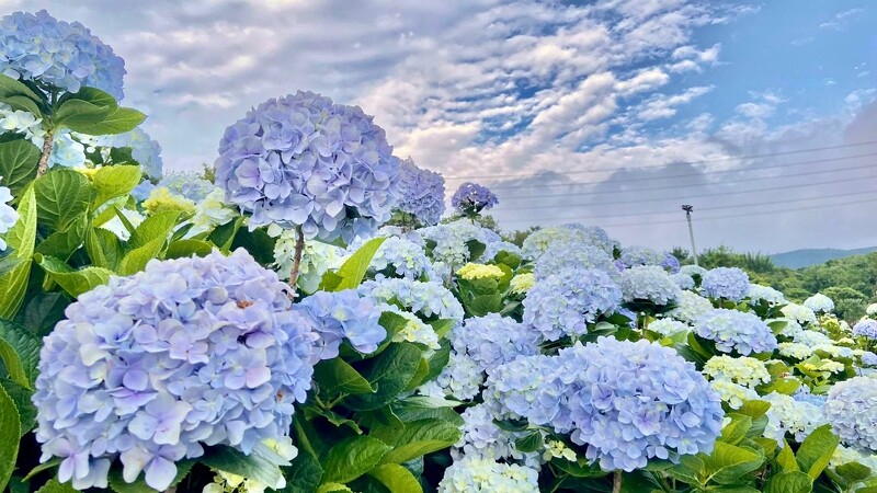 67F60AE4CB7E01744177892