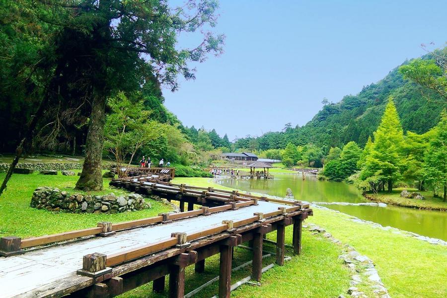 棲蘭山怎麼玩？解鎖力麗馬告生態園區、千年神木與明池森林的健康旅遊指南