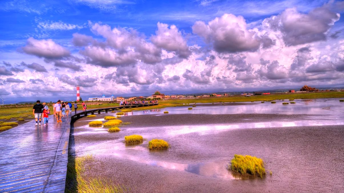 高美濕地導覽：探索台中自然之美與生態魅力