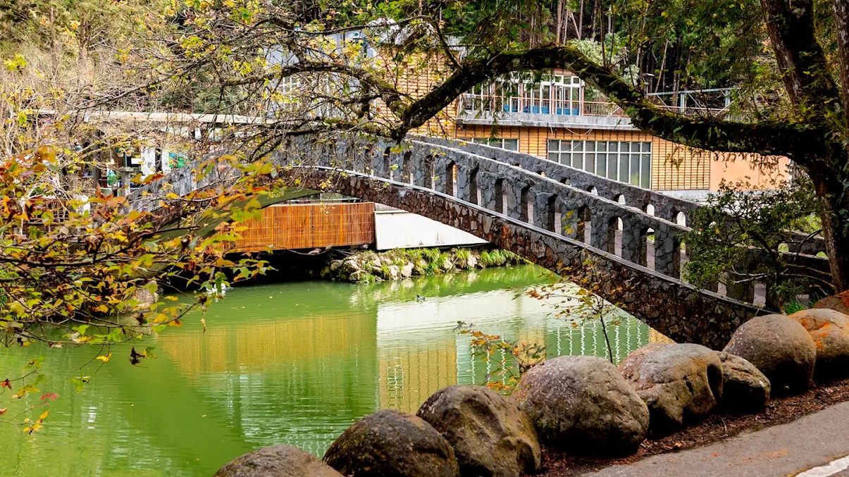 杉林溪的自然美景與探索活動|完整旅遊指南