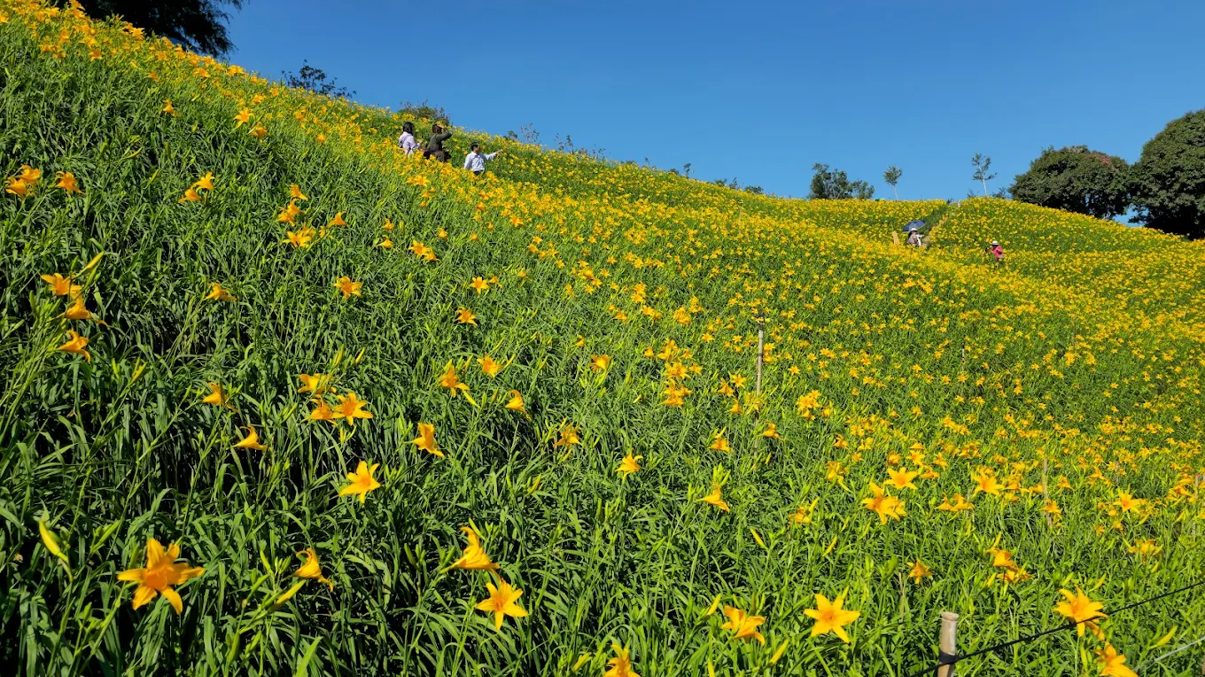 彰化景點推薦：揭開你必去的隱藏寶地