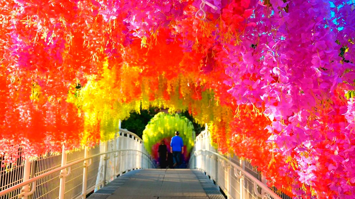 彰化景點推薦：探索八卦山天空步道及周邊美食