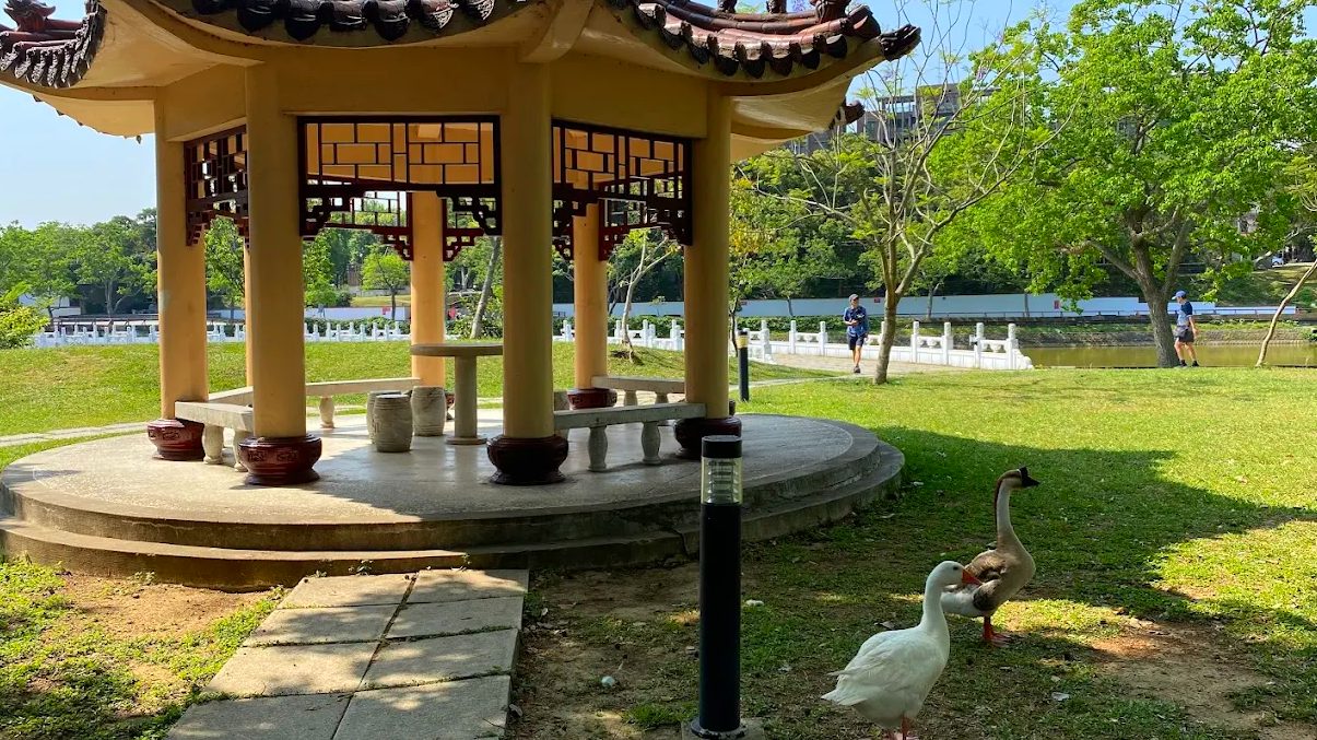 新竹景點大探索：發現新竹公園的隱藏寶藏
