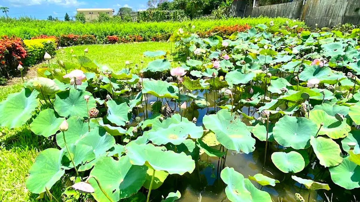 彰化景點推薦：探索八卦山天空步道及周邊美食