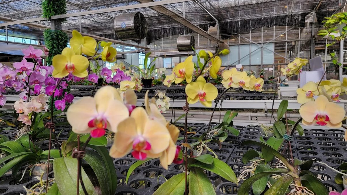 宜蘭景點：探索必訪景點讓你的旅行更精彩