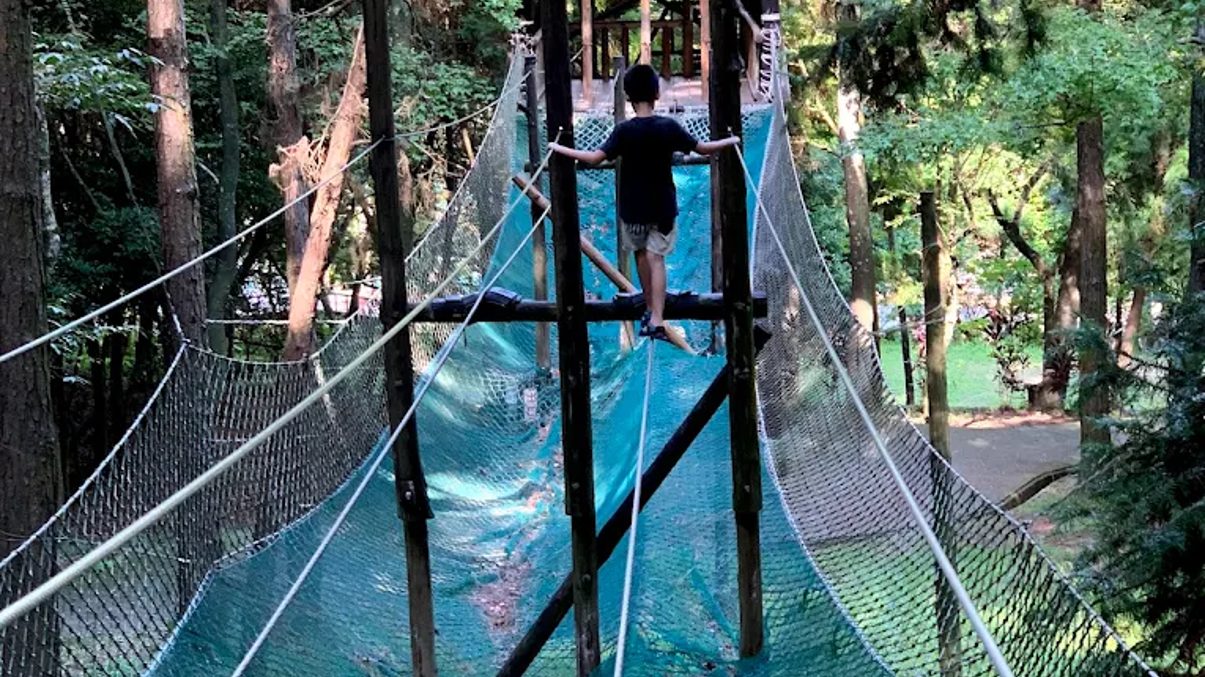 探索東勢林場：親子同遊與自然療癒的最佳選擇