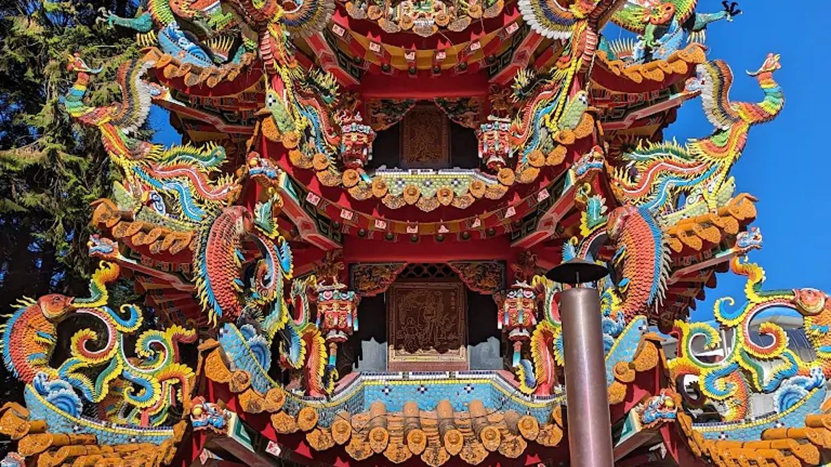 探索阿里山小火車的浪漫旅程｜體驗百年森林鐵路的魅力