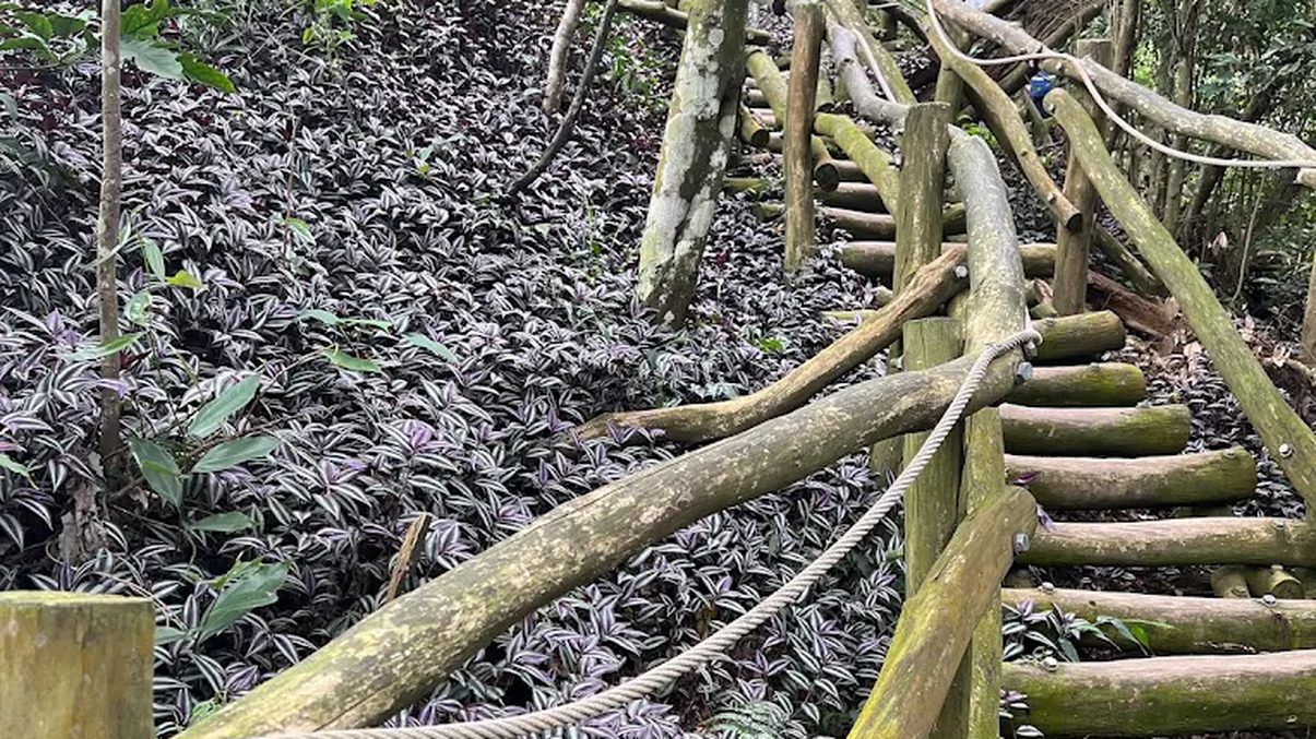 揭開台中美景的秘訣｜不容錯過的景點